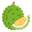 ทุเรียน